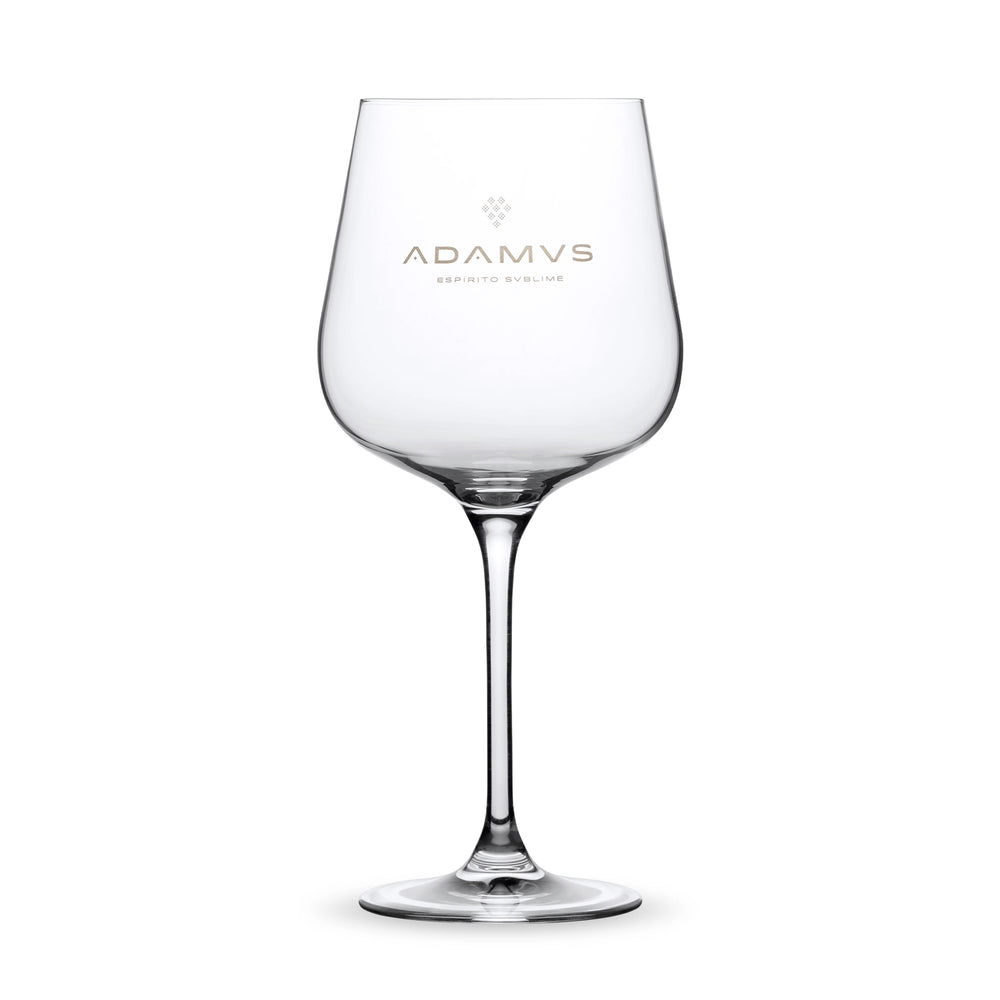 Adamus Organic Dry Gin Glass