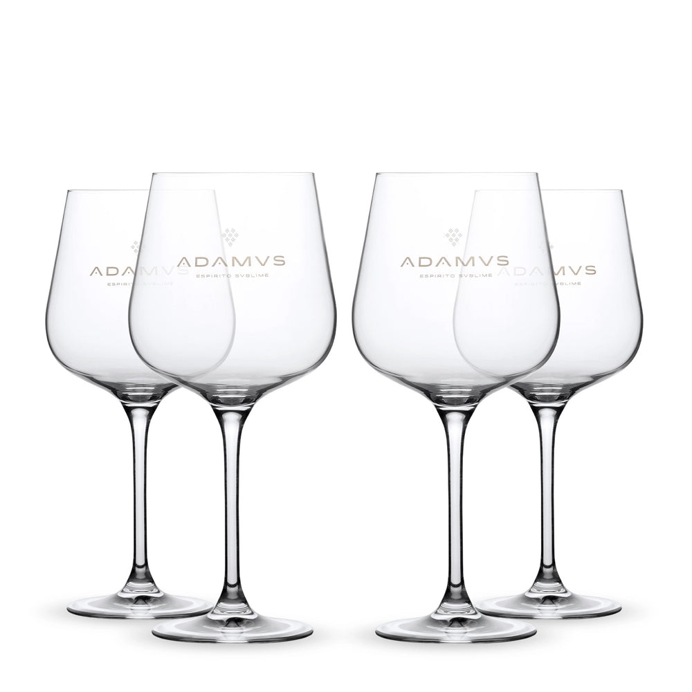 Pack of 4 Adamus Organic Dry Gin Glass