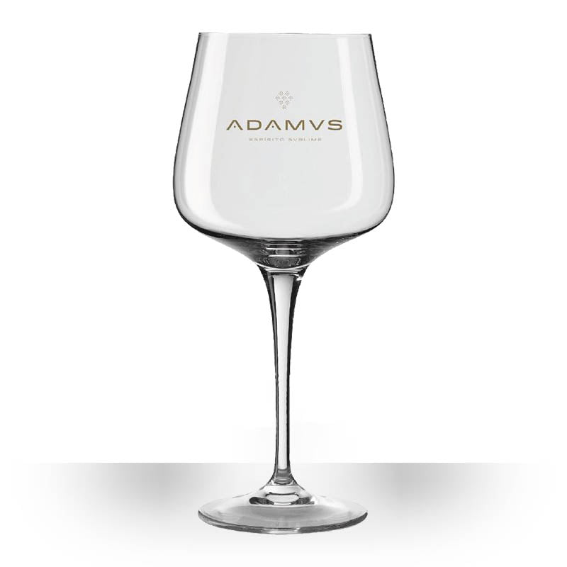 Adamus Organic Dry Gin Glass